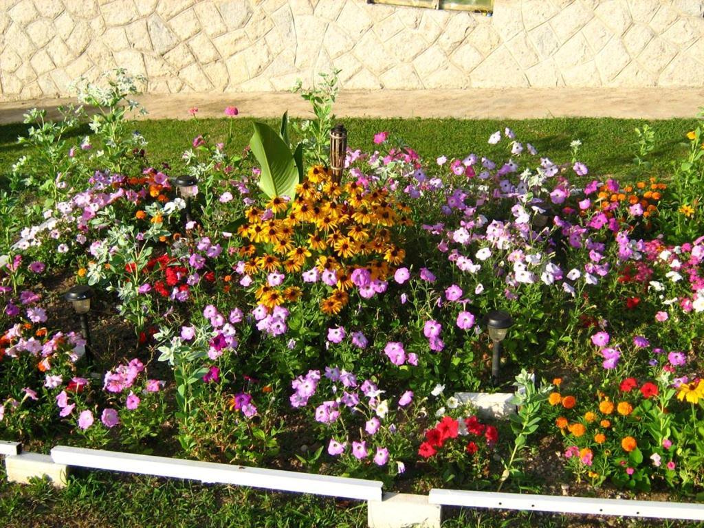 Ferienwohnung Odmor Na Selu Babajic Ljig Exterior foto