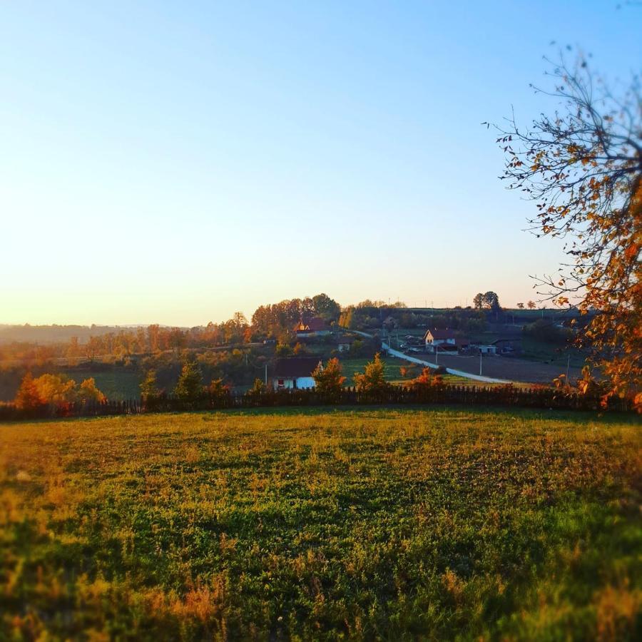 Ferienwohnung Odmor Na Selu Babajic Ljig Exterior foto